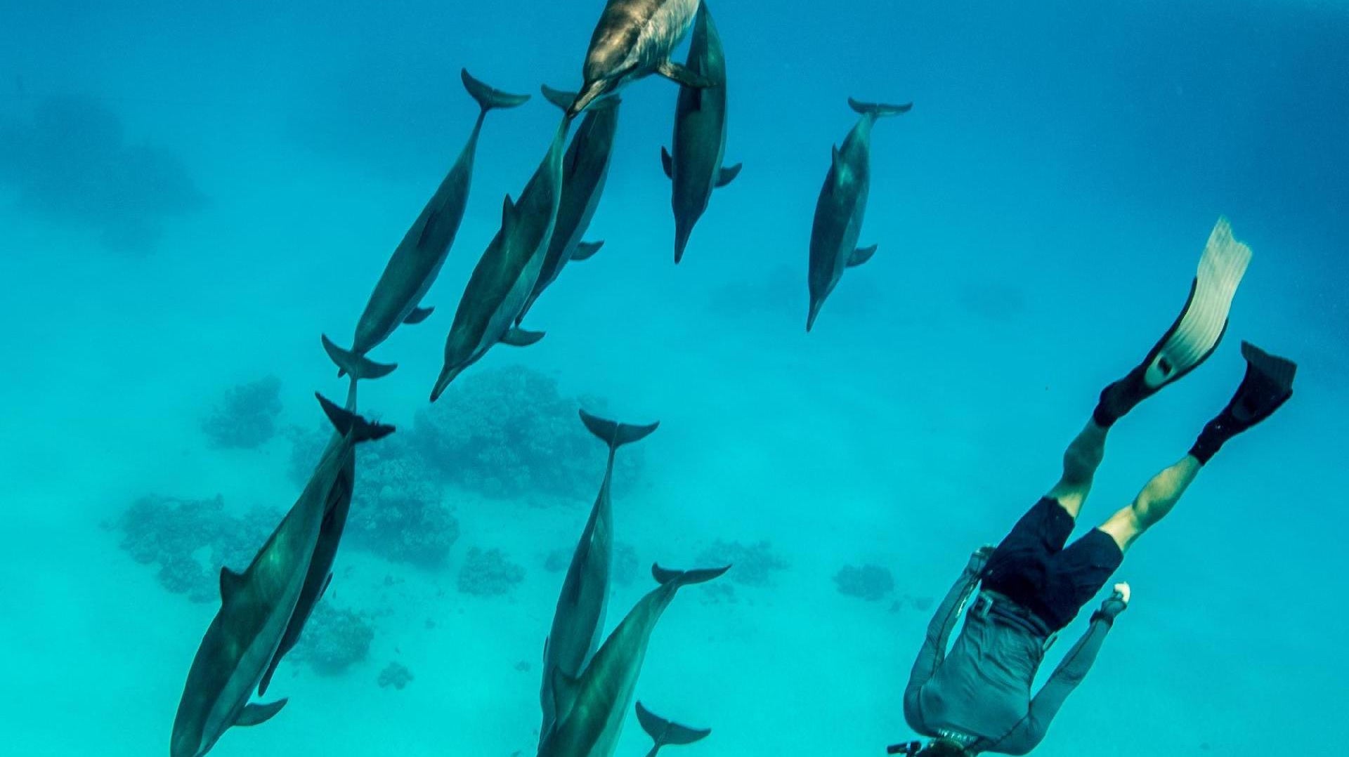 SolRX sunscreen has waterblock which makes it waterproof and longer lasting. SolRX is great for divers and snorkeling and swimmers.