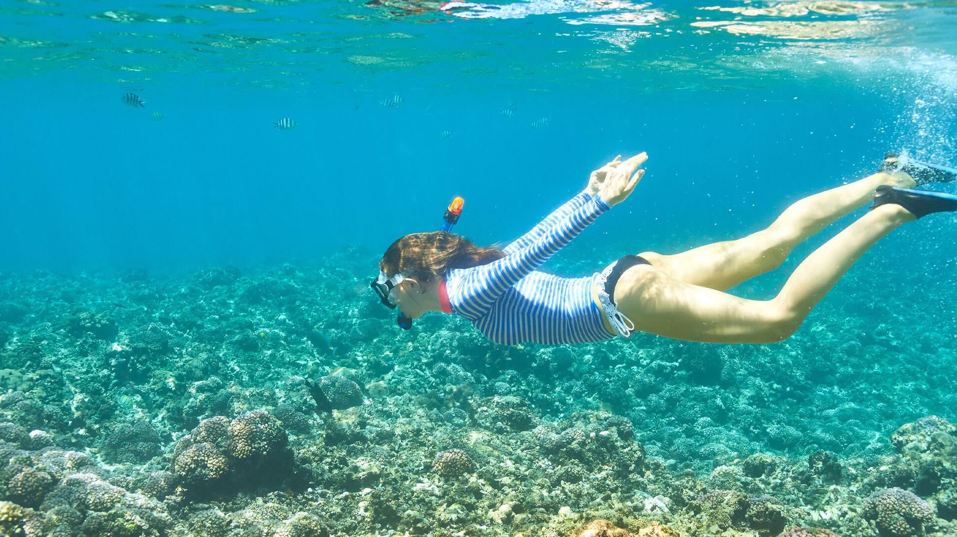 What Sunscreen Can You Bring to the Caribbean?