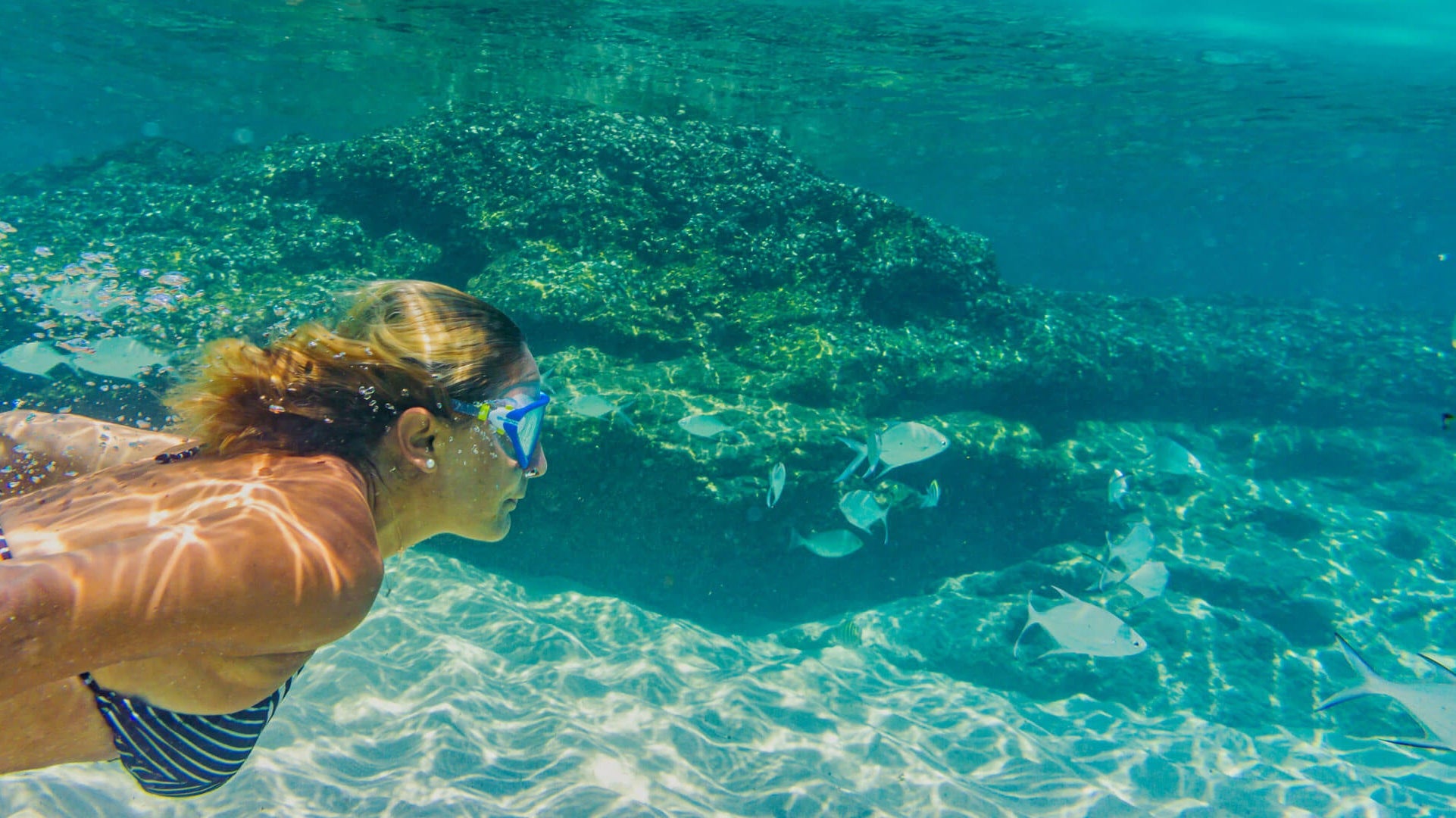 Not all reef-safe claims hold up. The term is unregulated. SolRX is Hawaii Act 104 compliant -- oxybenzone-free, octinoxate-free, and trusted by ocean athletes.