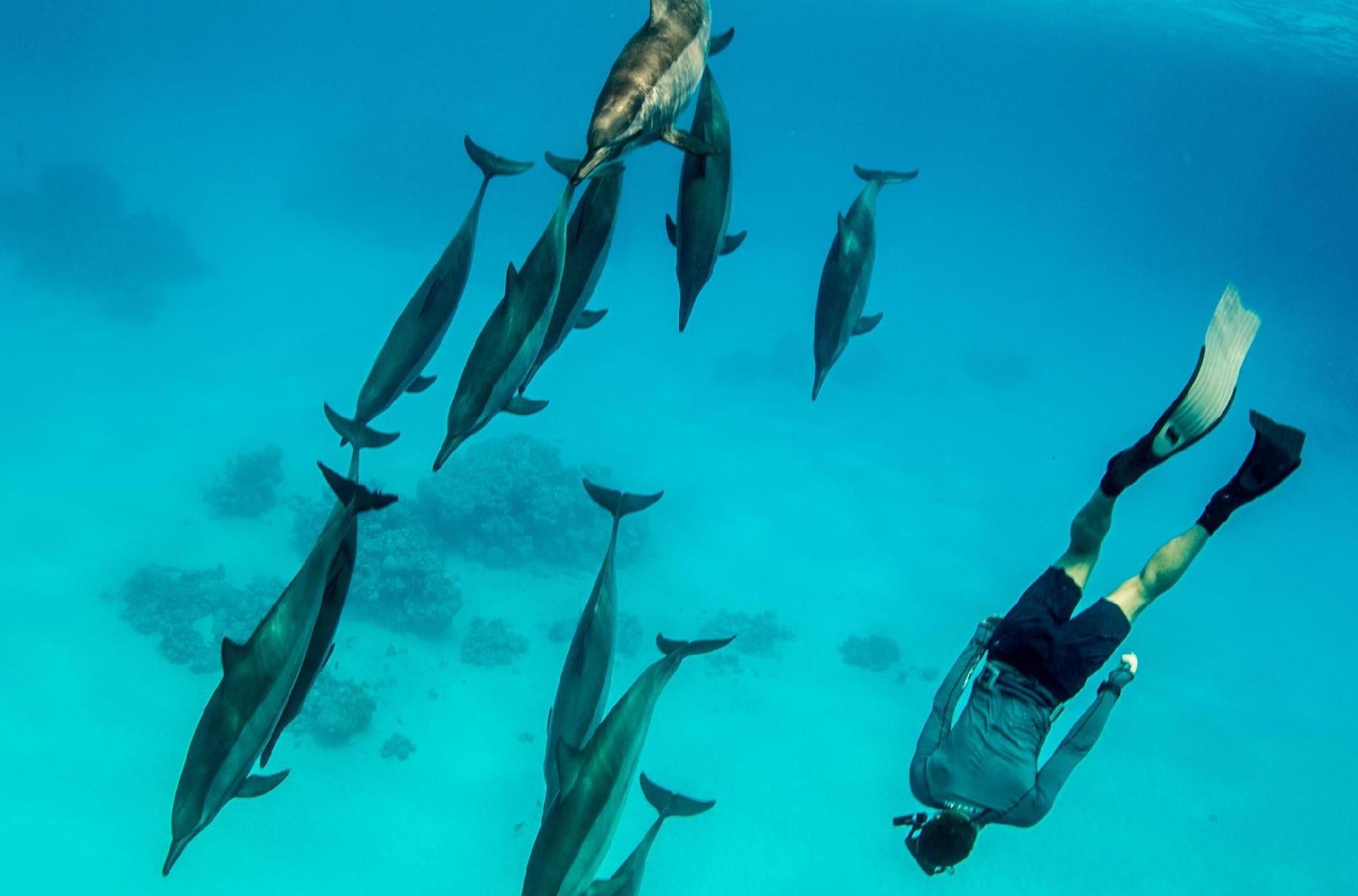 SolRX sunscreen has waterblock which makes it waterproof and longer lasting. SolRX is great for divers and snorkeling and swimmers.