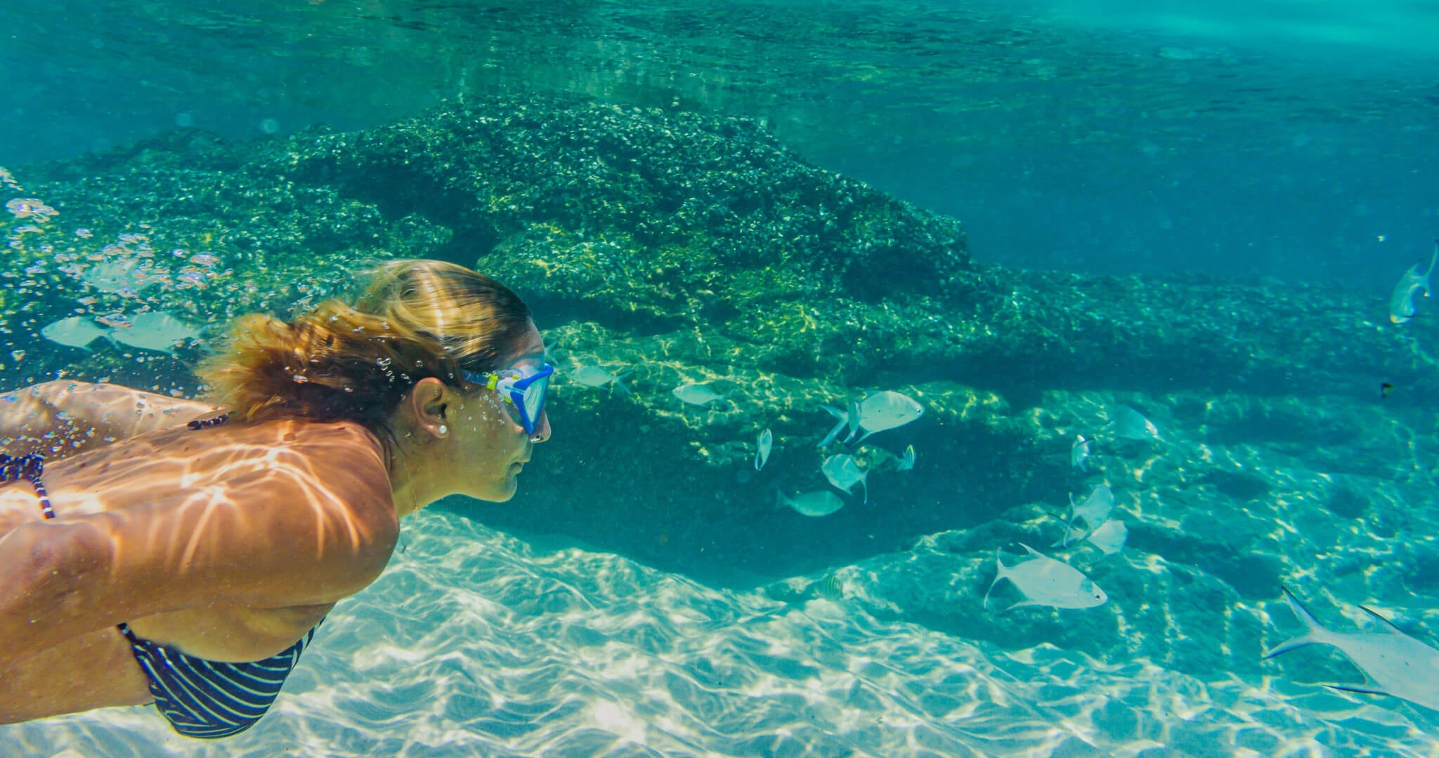 Not all reef-safe claims hold up. The term is unregulated. SolRX is Hawaii Act 104 compliant -- oxybenzone-free, octinoxate-free, and trusted by ocean athletes.